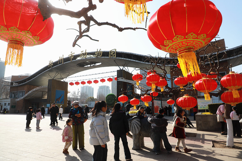 万马奔腾迎新春！郑州市动物园马年生肖科普活动热闹启幕