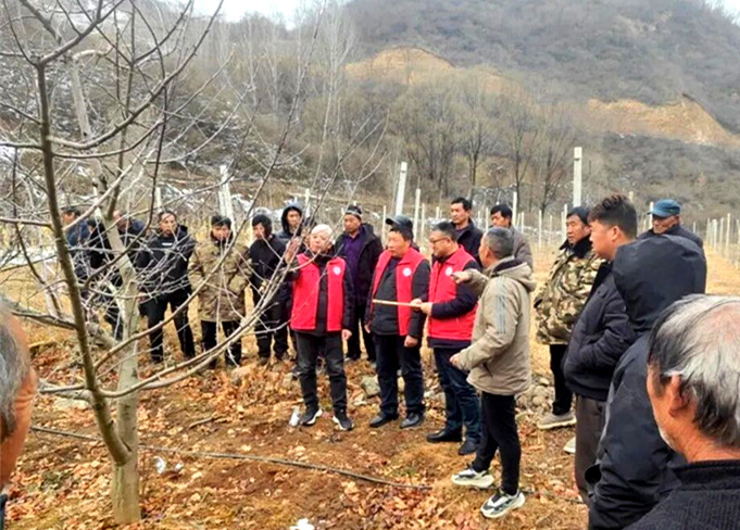 灵宝市：狠抓果树冬管  蓄力丰产增收