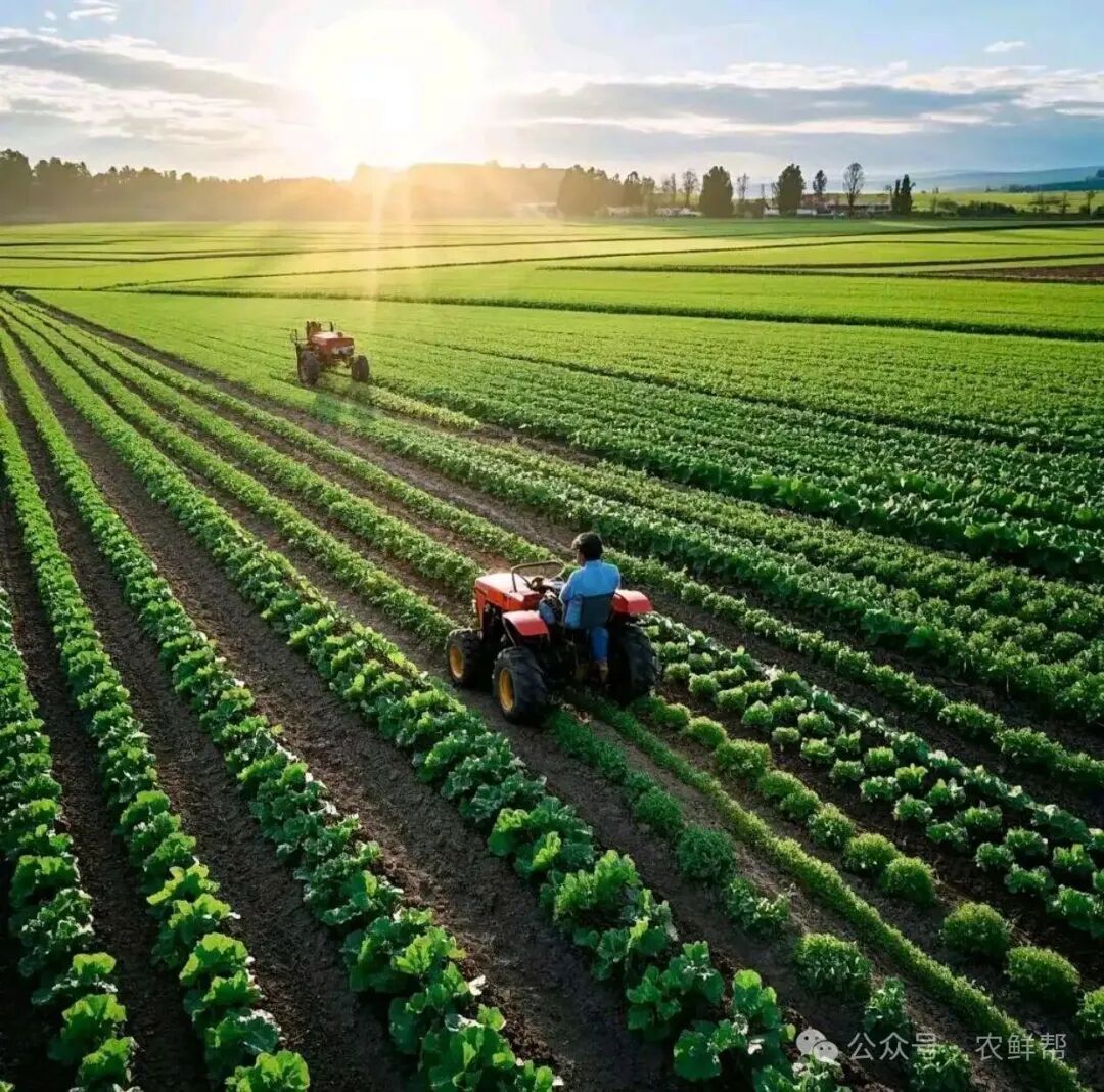 我国将继续推动农业发展全面绿色转型