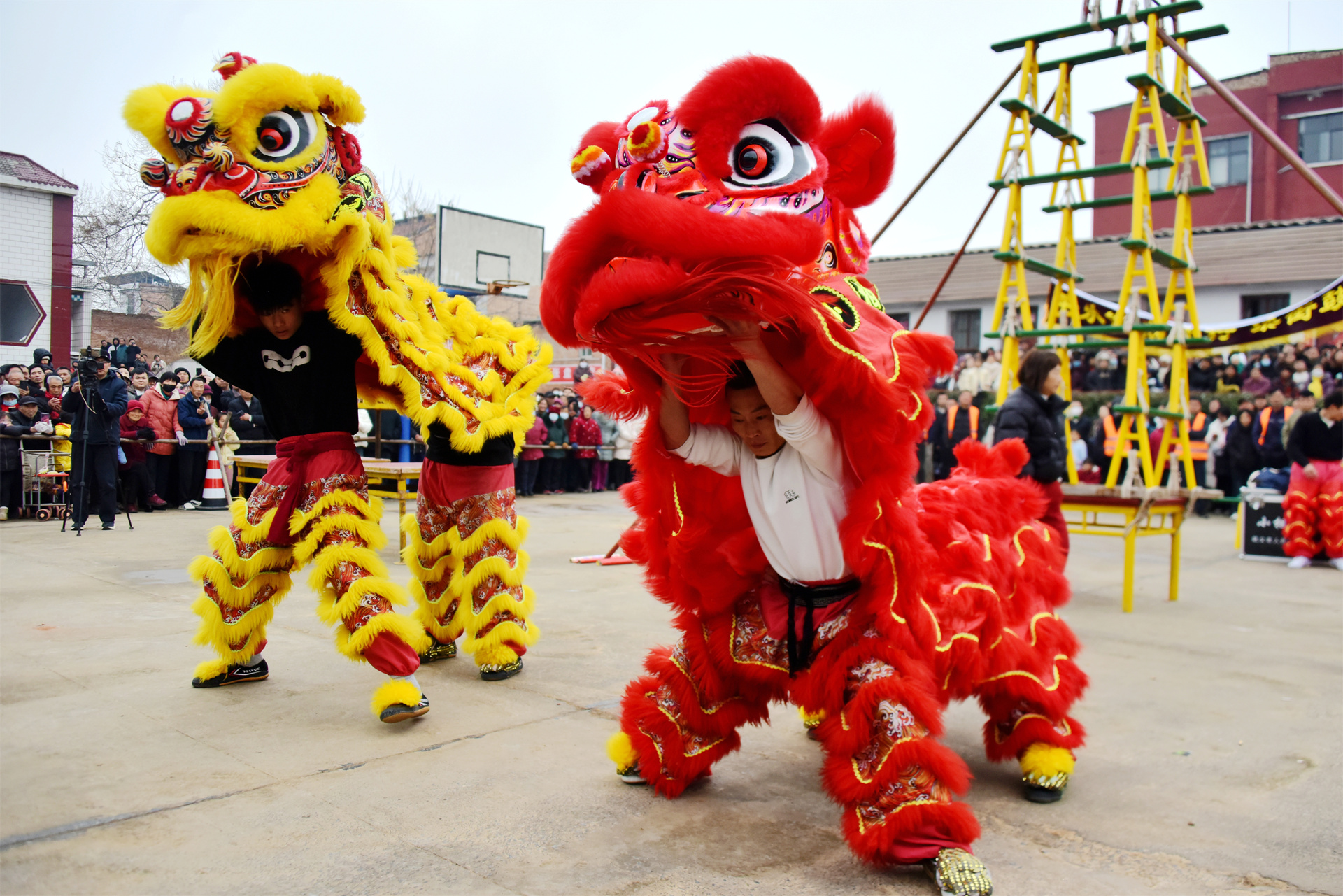 非遗狮舞助阵 张盘村古庙会年味浓
