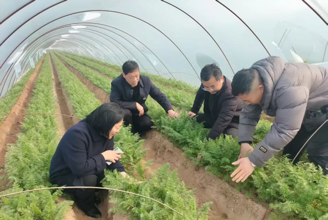 开封市祥符区、兰考县科协开展学雷锋科技志愿服务活动