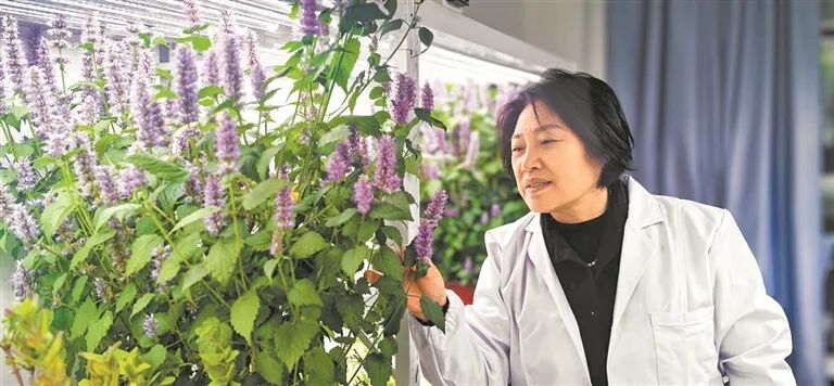 透视科技奖 感知新趋势