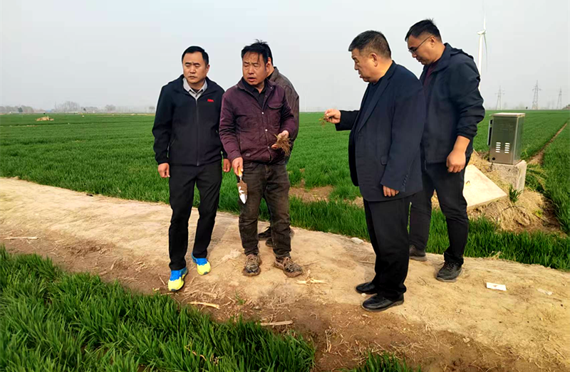 科技下乡助丰收 濮阳市科协驻村工作队邀请专家为种粮大户“把脉问诊”