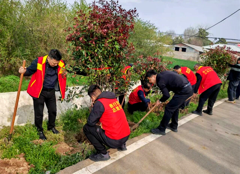植绿护绿践初心 党建帮扶促振兴——漯河市科协赴薛庄村开展义务植树活动