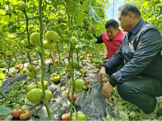 兰考县科协组织“一懂两爱”科技服务团开展学雷锋科技志愿服务活动