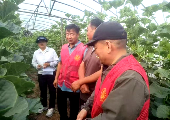 科技赋能蜜瓜产业 特派员下沉兰考助丰产