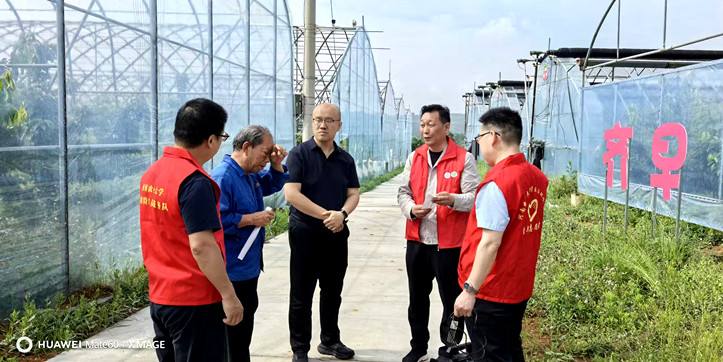 阴雨天气侵扰樱桃生产 河南农大专家驰援新安应急保产