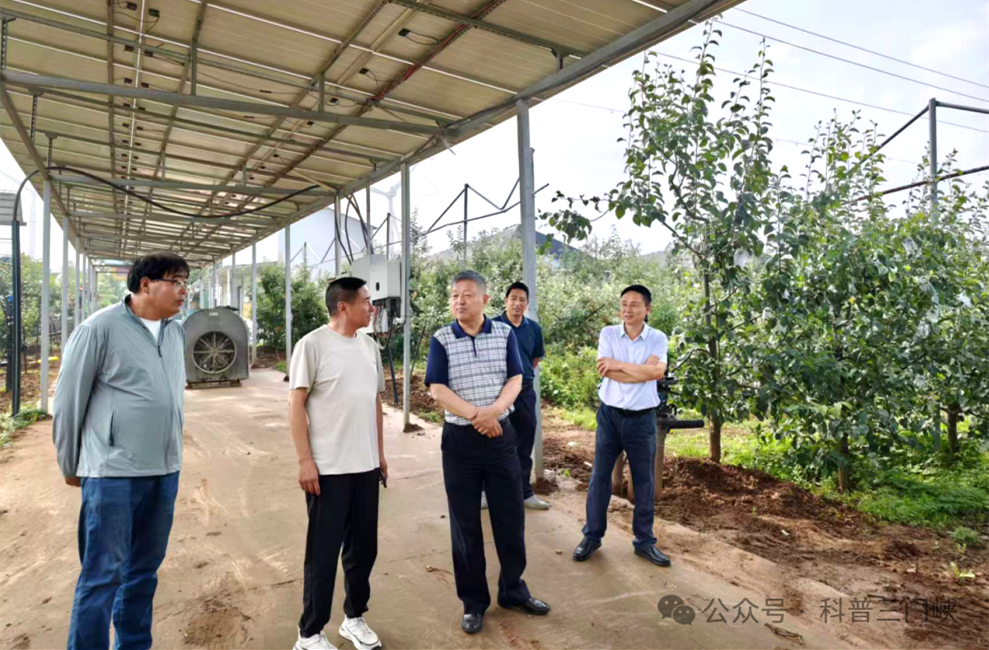 河南省园艺学会联合三门峡市科协开展果树种植养护技术指导服务活动