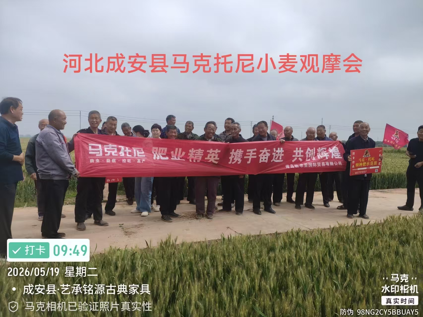 马克托尼肥料助农丰收：百县千乡万人观摩会豫晋冀多地小麦大蒜示范田成功举办