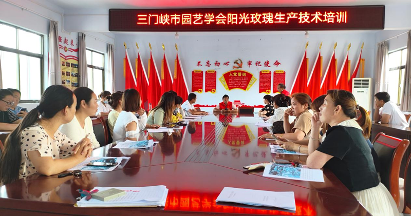 穿针引线  搭建产业发展与群众致富的金桥——三门峡市园艺学会举办技术培训活动
