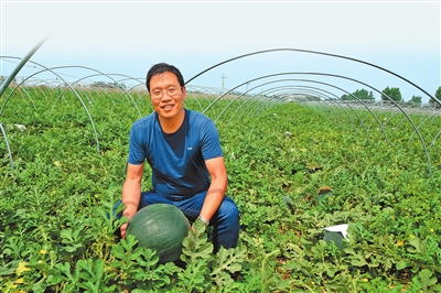 精准化筛选基因信息 西瓜育种速度提升一倍