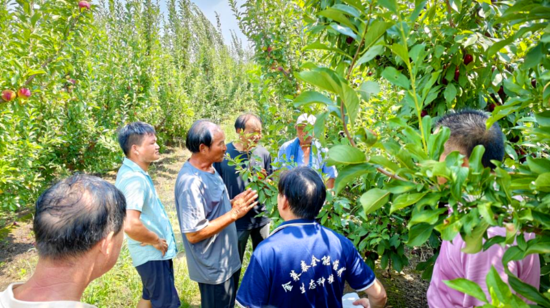 河南省园艺学会、三门峡市科协联合举办三门峡市特色果品新优品种观摩活动