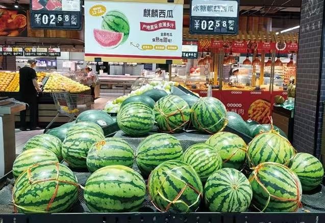 河南西瓜从丰收到增收路有多远