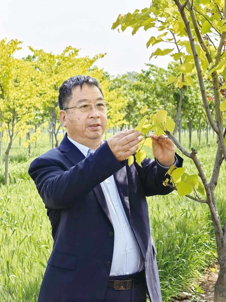 张林：用一株繁花闯出生态富民新赛道
