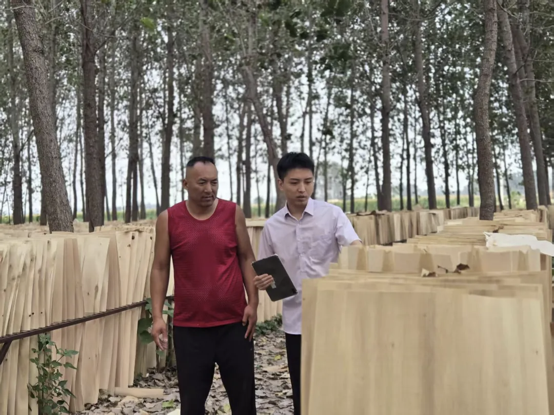农行周口分行：片片小木板，铺就乡村致富路
