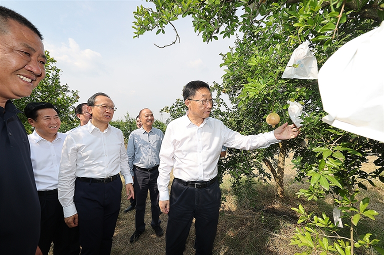 刘宁到南阳市调研时强调 持续巩固拓展学习教育成果 统筹做好乡村振兴秋粮生产工作