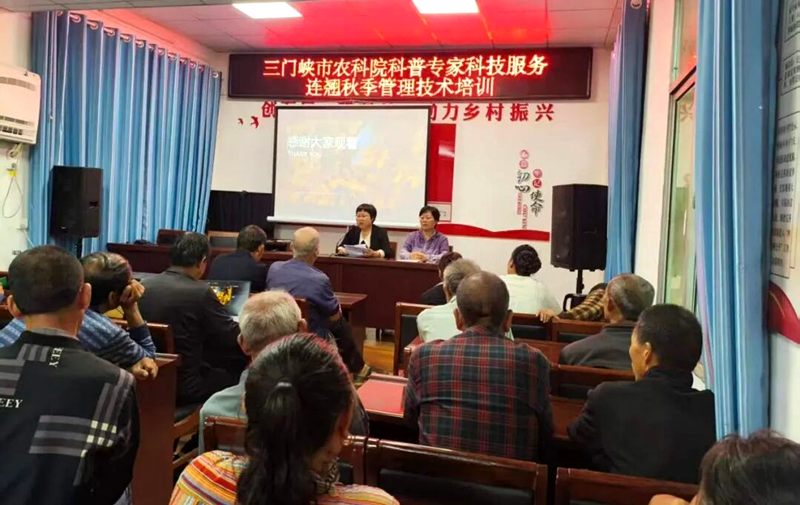 技术下乡传真经 赋能连翘促增收---三门峡市农科院科普专家走进卢氏县开展连翘秋季管理技术培训