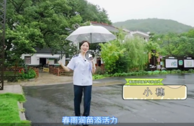 春雨润苗