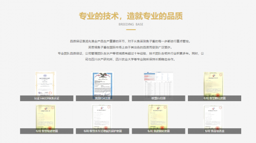 "一路向北:从二郎山麓到全国市场的芙思塔鱼子酱"
