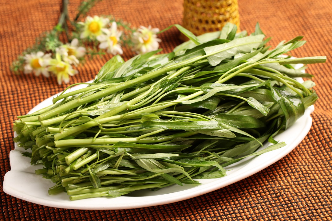 重金属超标！空心菜成了“最毒绿叶菜”？真相究竟是什么？