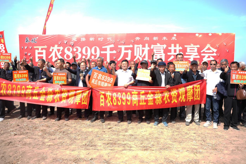 种植百农8399是农民增产的希望、增收的保障