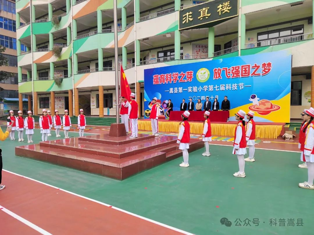 嵩县举办校园科技节活动