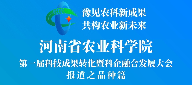 创新生态土肥苗壮  成果转化完美闭环