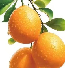 金橘到底吃不吃皮