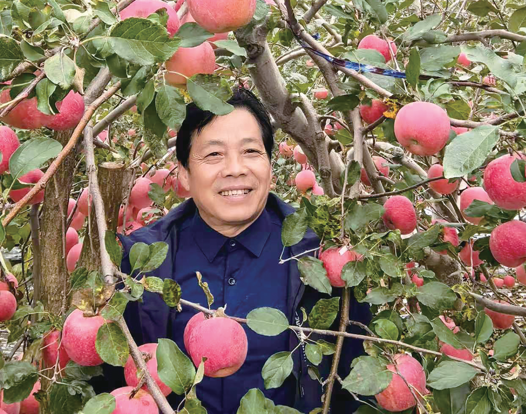 何伟华：“把科研搬到果园里”的乡土人才