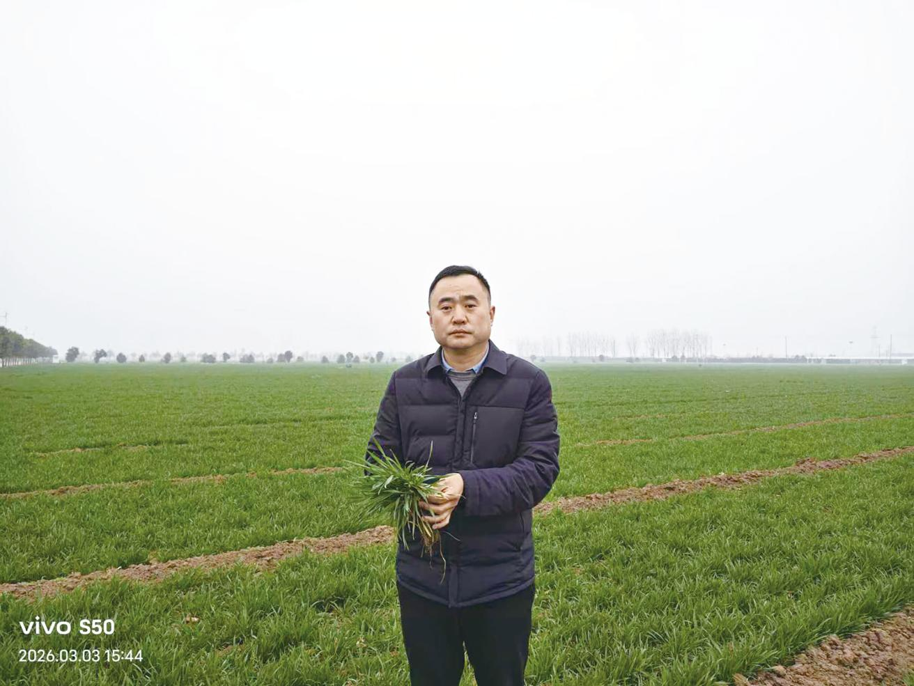 程星：深耕小麦科研，赋能农业提质增效