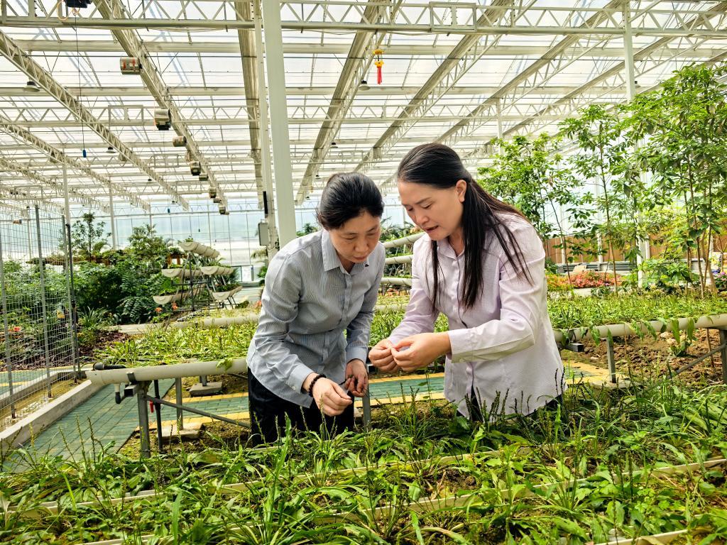 黄桂云：三十年踏遍山野 守护三峡“物种基因库”