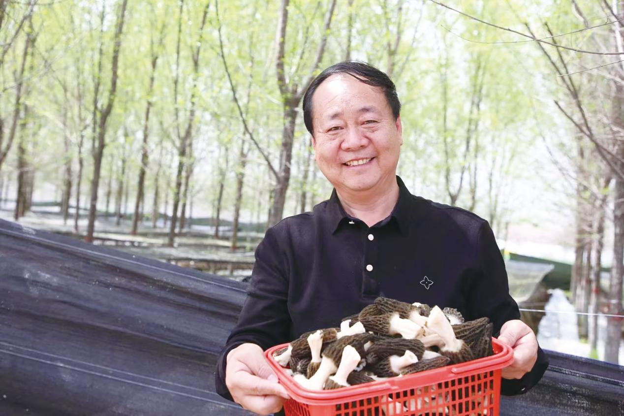 李彦增：扎根食用菌一线，以技术铺就乡村致富路